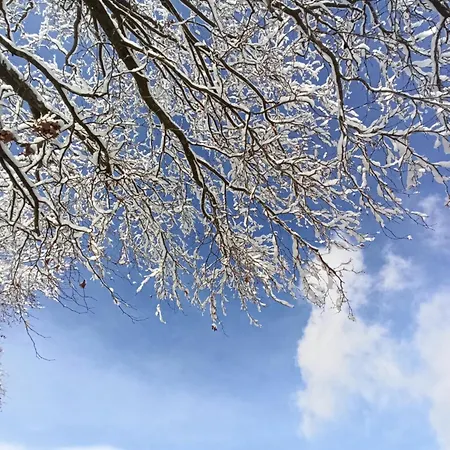 شقة Appartementhaus Fink *